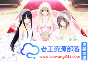 【SLG/汉化/动态】新妻LOVELY×CATION 全线精翻汉化版+存档【11G】