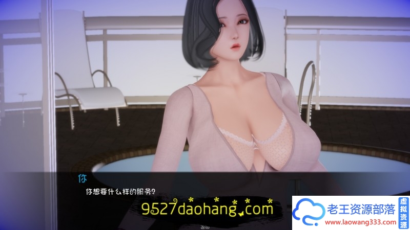 图片[8]-[欧美SLG/幻想汉化]姐姐破产了 Ass-hole V1.0 PC+安卓汉化版[3.3G]-老王资源部落